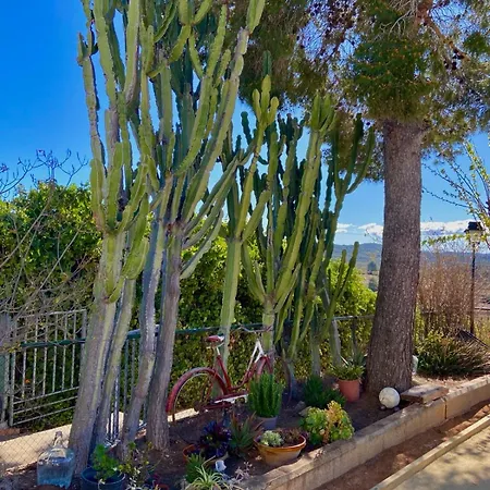 Villa Beautiful With Huge Private Pool And Vineyard View